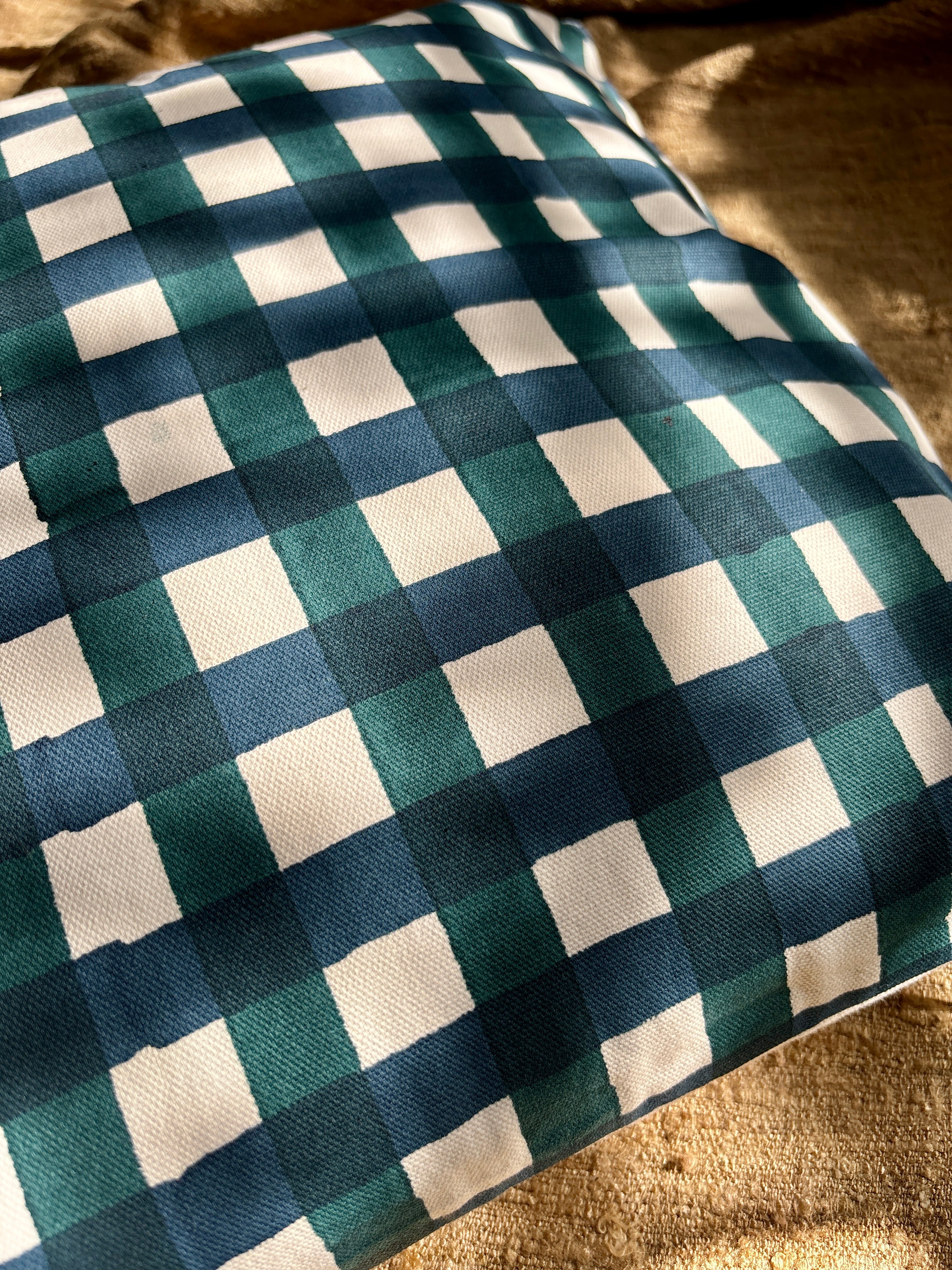 Blue checks cushion cover